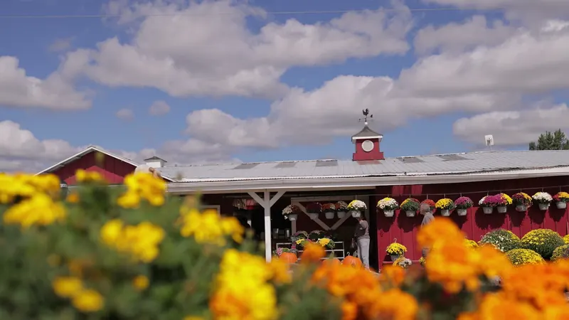 Marigolds in front of a red Ontario farm market
